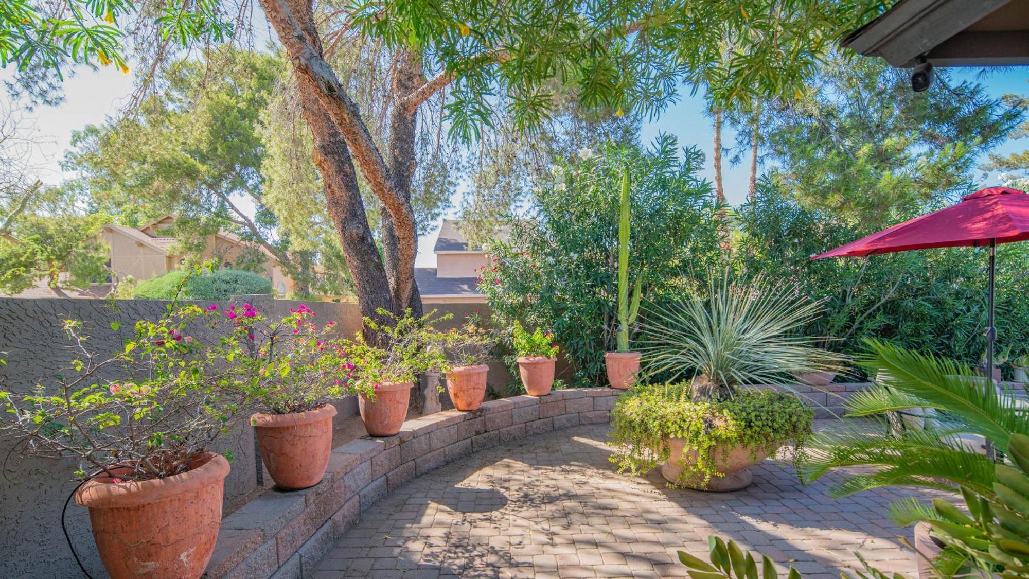 Gem Wpool In Private And Serene Yard Holiday home